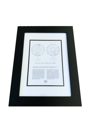 Open image in slideshow, Wedded Natal Zodiac Chart Framed
